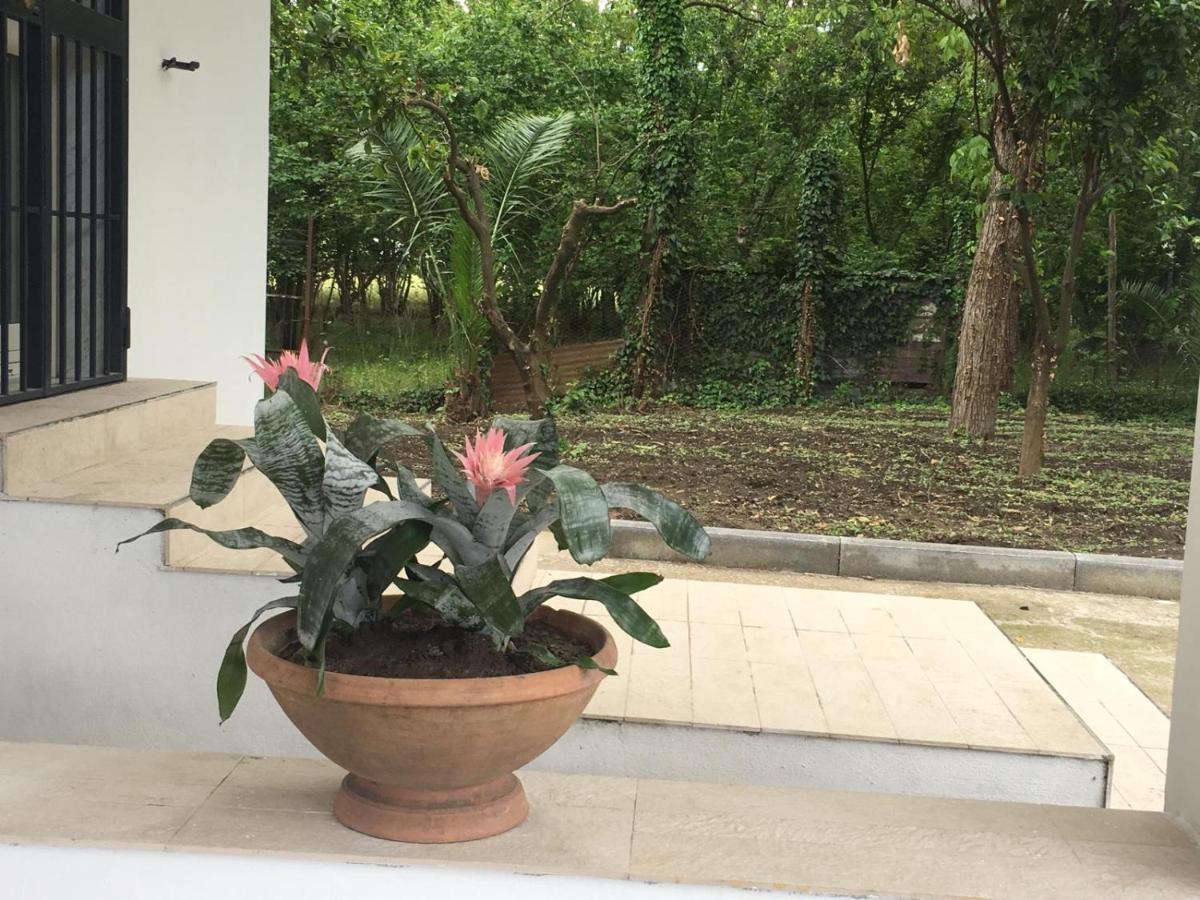 La Villetta B&B Scisciano Ngoại thất bức ảnh